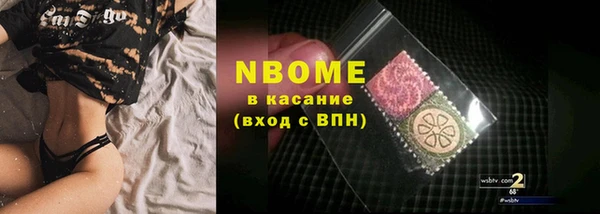 молекула духа Богданович