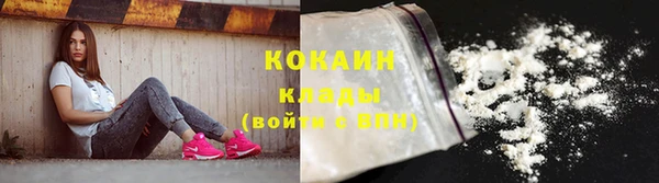 молекула духа Богданович