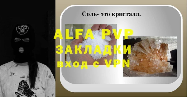 молекула духа Богданович