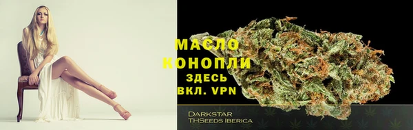 гашик Богородск