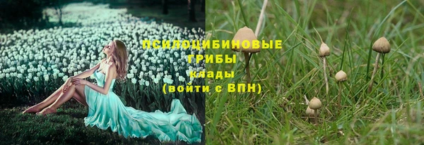 молекула духа Богданович