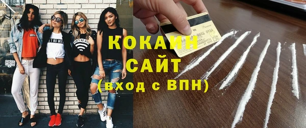 молекула духа Богданович