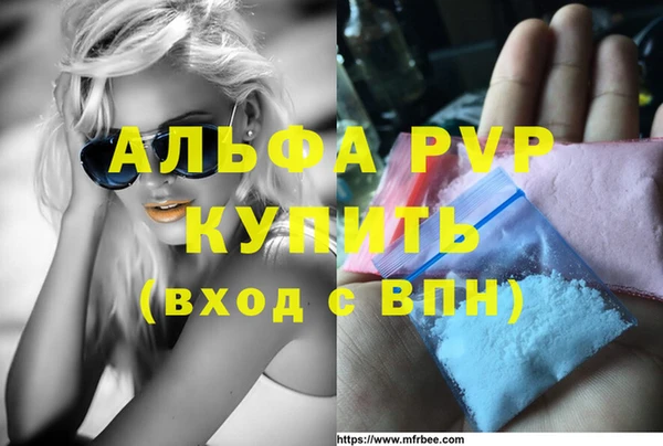 молекула духа Богданович