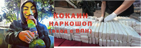 гашик Богородск