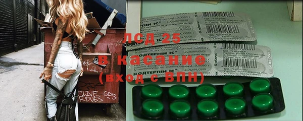 молекула духа Богданович