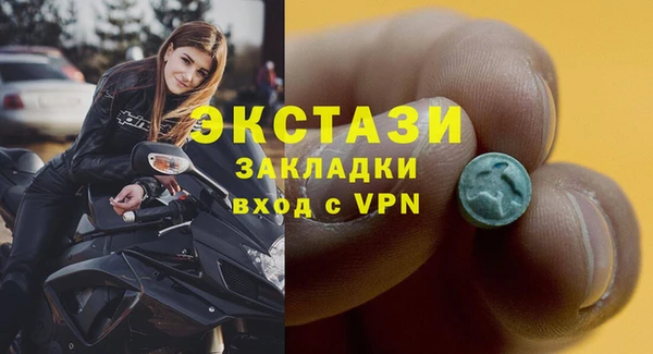 гашик Богородск