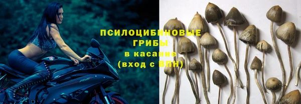 гашик Богородск