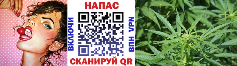 где купить наркоту  Костерёво  МАРИХУАНА конопля 